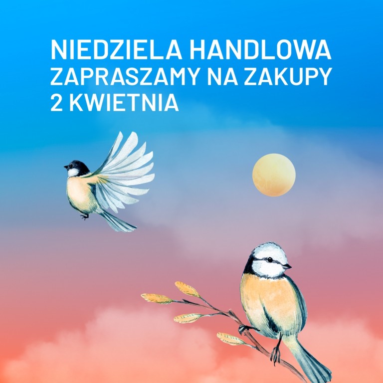 LUBLIN_NIEDZIELA_HANDLOWA_Kwiecien_Insta_1080x1080.jpg