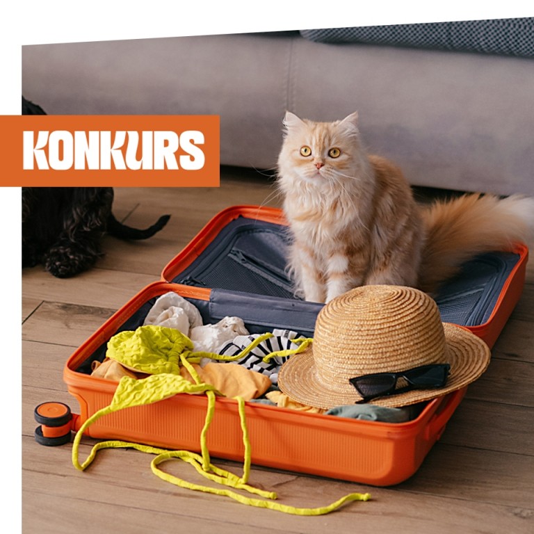 lublin_konkurs_960x960.jpg